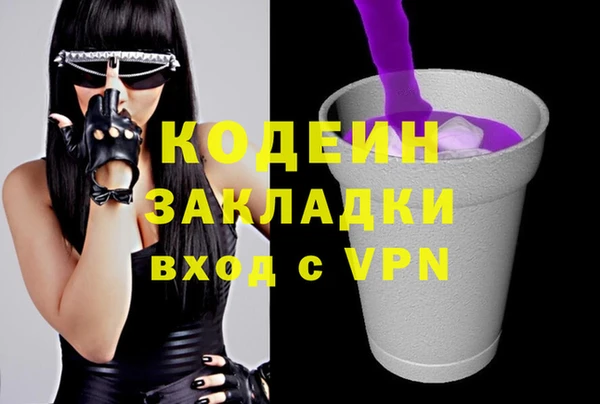 стаф Кизел