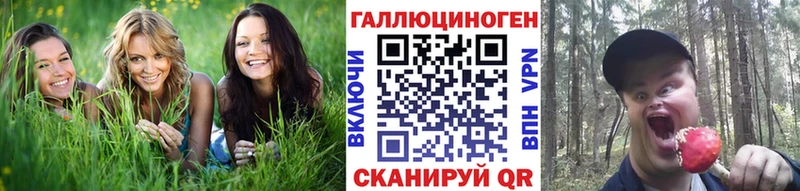 Псилоцибиновые грибы MAGIC MUSHROOMS  дарк нет формула  Ленинградская  даркнет сайт 